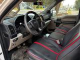 Ford F 150 - Ford F 150 mit Benzin-Antrieb