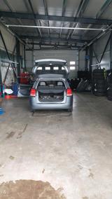 Opel Auto,Opel,Kombi - Opel Signum mit Benzin-Antrieb: Kombi