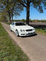 Mercedes-Benz Mercedes Benz CL 55 AMG - Mercedes-Benz CL 55 AMG mit Benzin-Antrieb: Automatik