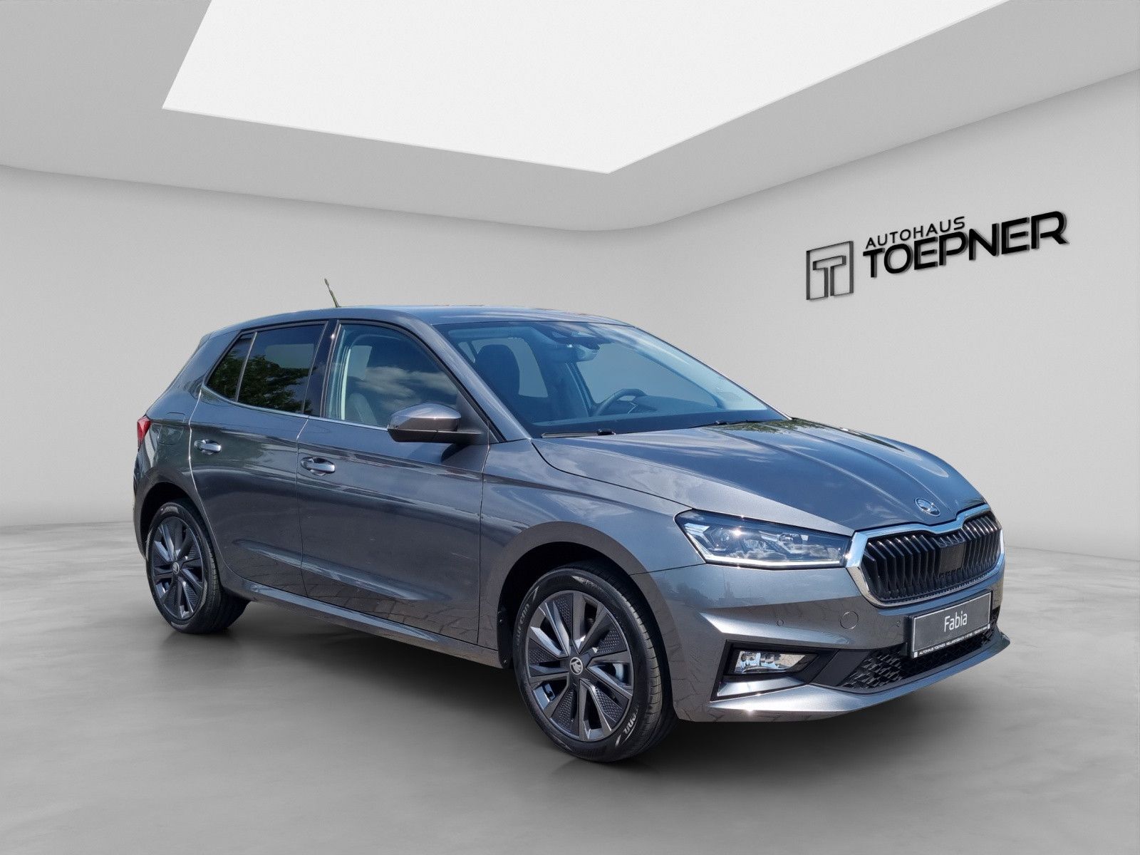 Fahrzeugabbildung SKODA Fabia Balance 1,0TSI 17" Winter+ Fahrassi 50L