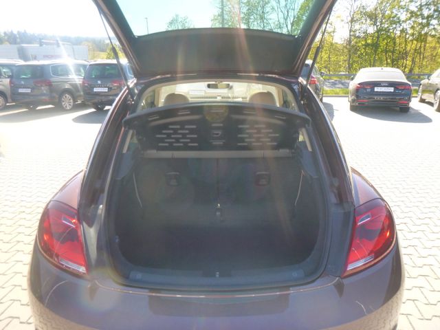 Fahrzeugabbildung Volkswagen Beetle 1,2 TSI >NAV/KAM/PANO/PDC<