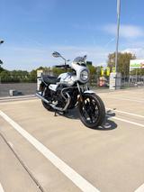 Moto Guzzi V7 Special: super Zustand, viele Extras - MOTO GUZZI V7