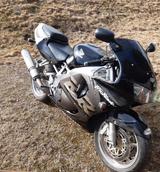 Honda CBR 900 SC 33 Fireblade - Angebote entsprechen deinen Suchkriterien