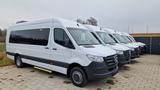 Mercedes-Benz Sprinter Lord Light 22 Sitzer 5 x Lagerfahrzeug
