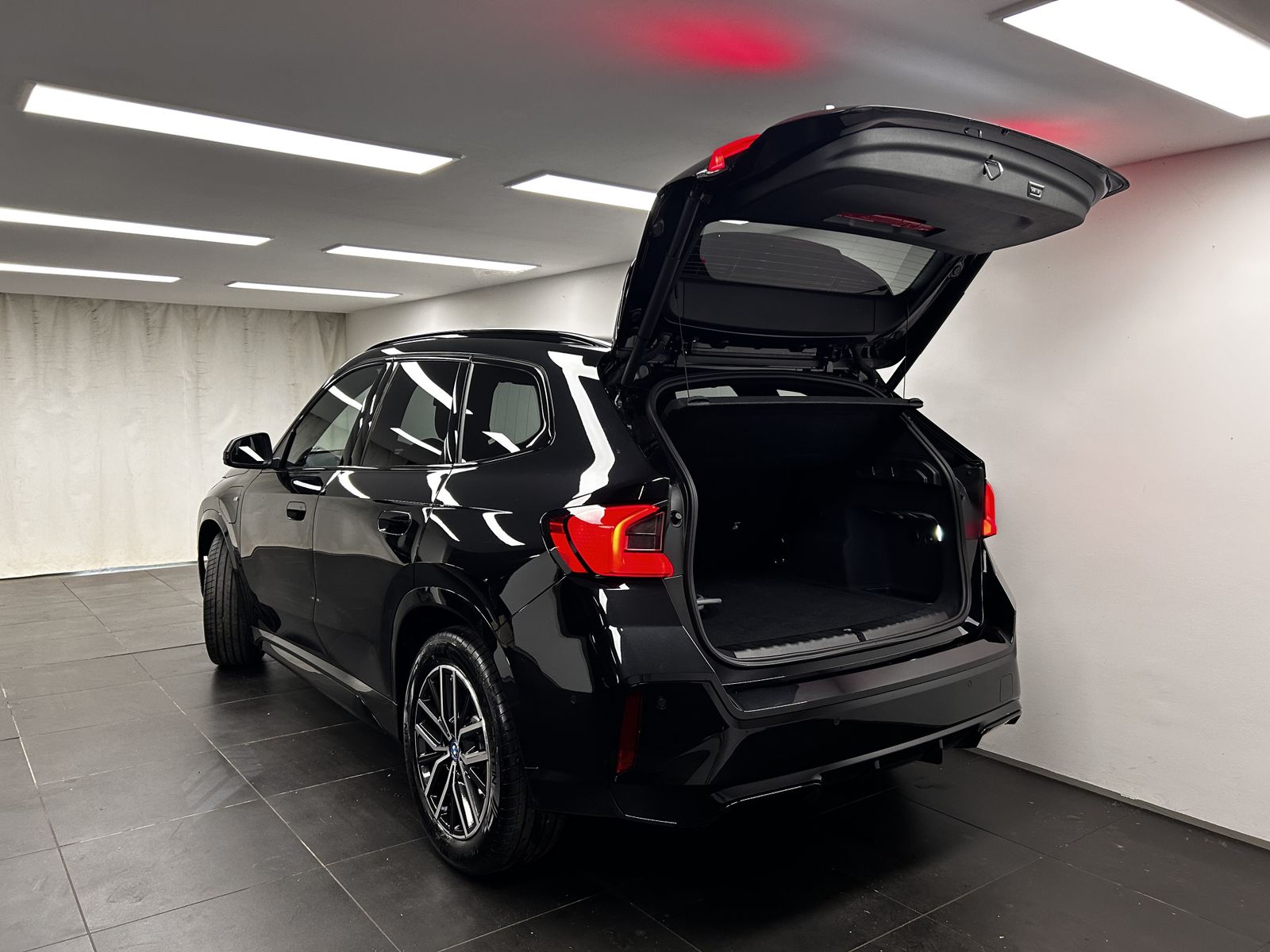 BMW X1 xDrive30e M Sportpaket Harman/Kardon Head-Up  foto 13