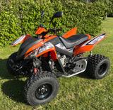 Adly ATV 450s 500 LOF Zulassung Quad - QUAD ATV 500
