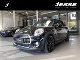 MINI Cooper Cabrio  1.5 Chilli Aut. LED Navi H&K SHZ - MINI Cooper Cabrio Gebrauchtwagen