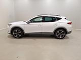 Cupra Formentor 1.5 TSI Winter|LED|Navi|AHK|ACC|virt.C - Cupra Formentor Gebrauchtwagen in Dresden
