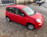 Fiat Panda 1.2 8V | Nur 8 TKM! Rentnerfahrzeug - rote Fiat New Panda