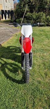 Stark Varg Alpha  80 Ps  - STARK MOTORRAD