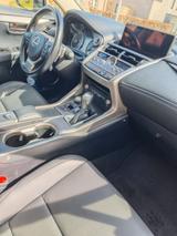 Lexus NX 350h - silberne Lexus NX-Serie