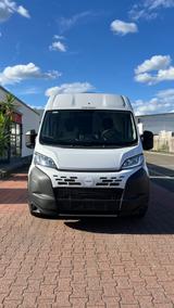 Forster V 541 Youngster Sunny Fiat Ducato kasten NEU - Angebote