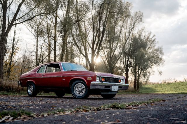 Chevrolet Nova - All original - Matching numbers