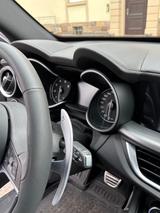 Alfa Romeo Stelvio 2.0 Turbo 16V 147kW B-Tech AT8-Q4 B-Tech - Alfa Romeo Gebrauchtwagen in Karlsruhe
