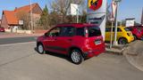 Fiat Panda Red - Fiat Panda Vorführfahrzeuge