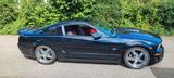 Ford Mustang - gebrauchte Ford Mustang aus dem Jahr 2006