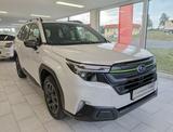 Subaru Forester 2.0ie AWD Edition Exclusive Cross*H&K*L - Subaru Forester EDITION-EXCLUSIVE-CROSS