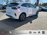 Ford Puma 1.0 ST-LINE AZN-HAUS-FÖRDERUNG* CarPlay - Ford Puma mit Benzin-Antrieb