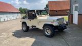 Jeep Wrangler YJ 4,2L mit H-Zulassung - Jeep Wrangler: Yj