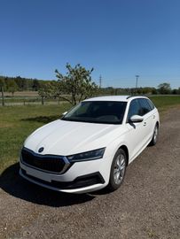 Skoda Octavia - 5