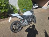 Honda CB600FA  Hornet - HONDA CB 600 F HORNET