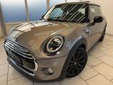 MINI Cooper - PANO/LED/Chilli/HK/Navi - MINI Cooper in Hamburg