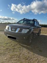 Nissan Navara - gebrauchte Nissan Navara aus dem Jahr 2009
