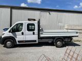 Fiat Ducato - Fiat Ducato Gebrauchtwagen in Stuttgart