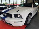 Ford Mustang - Ford Mustang in Ludwigshafen