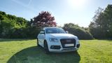Audi 3.0 TDI competition quattro Kamera Pano Sthz - Audi SQ5 in Hannover