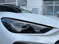 Cupra Terramar VZ 2.0 TSI DSG 4Drive LEDER AHK 5J GAR bei Autohaus Landmann & Maier OHG