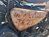 Harley-Davidson Iron 1200 / Endzeit Optik / Custom Paint - HARLEY-DAVIDSON PA