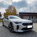 Kia Stinger GT-Line Diesel - maximale Aust... - Kia Stinger GT-Line