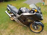 Honda CBR 1100xx zu verkaufen  - HONDA CBR 1100 XX