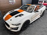 Ford Mustang GT500 Shelby look,  2.3 EcoBoost - Ford Mustang: 50