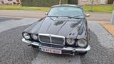 Jaguar XJ6 COUPE - Jaguar XJ6 mit Benzin-Antrieb: Automatik