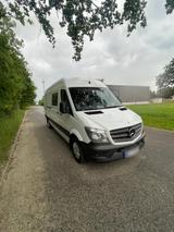 Mercedes-Benz Sprinter 313 CDI Maxi - Mercedes-Benz Sprinter: Van, Merc