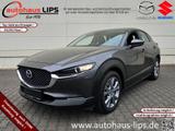 Mazda CX-30 SkyActiv-X 186 Selection AWD - Mazda CX-30 mit Schiebedach