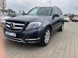 Mercedes-Benz GLK 220 GLK 220 CDI BlueEfficiency 4Matic|PANO|O - graue Mercedes-Benz GLK-Klasse