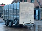 Ifor Williams TA35 PKW Tandem Viehanhänger - Viehanhänger