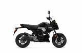 Honda MSX 125 Grom Schwarz - Aktion - - Sofort verfügb - HONDA MSX 125