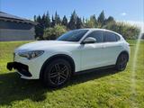 Alfa Romeo Stelvio 2.0 Turbo 16V 206kW Super AT8-Q4 Super - Alfa Romeo Stelvio von privat