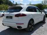 Porsche Cayenne Diesel Platinum Edition Panorama - Porsche mit Diesel-Antrieb