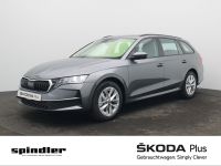 Skoda Octavia - Vorschau Bild 1