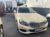 Mercedes-Benz E 220 E -Klasse Lim. E 220 BlueTec - Mercedes-Benz E 220 mit Diesel-Antrieb: Taxi, Limousine