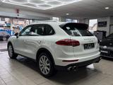 Porsche Cayenne S Kamera Leder Navi Burmester Luftfe AHK - Porsche Cayenne in Kassel