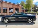 Audi A5 Cabriolet 3.0 quattro - Audi Cabriolet mit Diesel-Antrieb: Cabrio