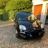 Fiat New Panda 1.2 Easy 51kw - Fiat New Panda aus 2017