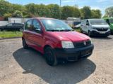 Fiat Panda 1.2 8V Dynamic TÜV/Service Neu - Fiat Panda Gebrauchtwagen in Bremen