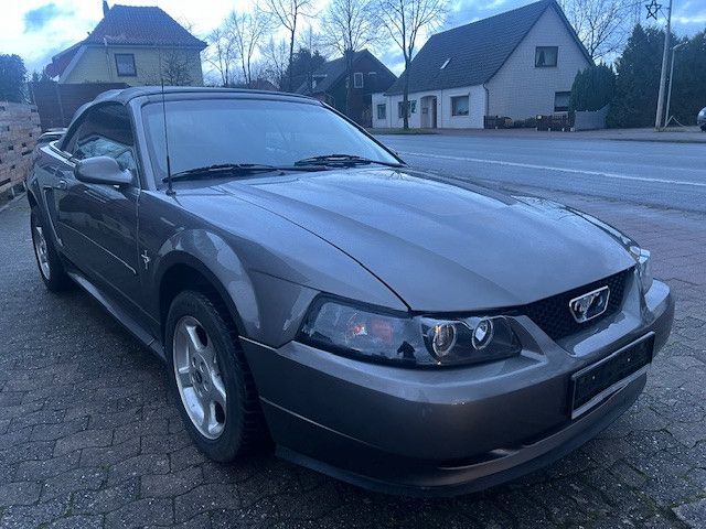 Ford Mustang V6 KLIMA TÜV NEU LEDER AUTOMATIK